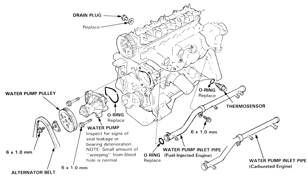 1989 Honda Accord 2.0L 2BL SOHC 4cyl water pump replacement - 1