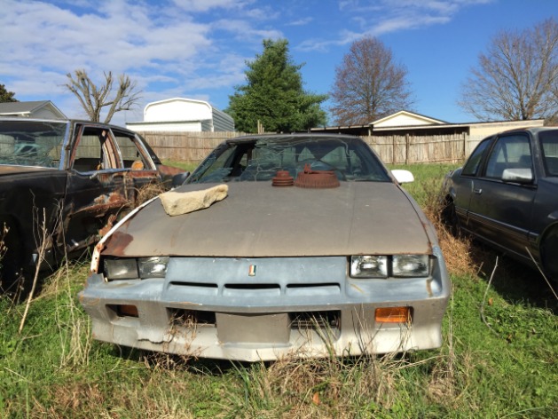 How to check for deal with snakes in old junkyard cars - 1