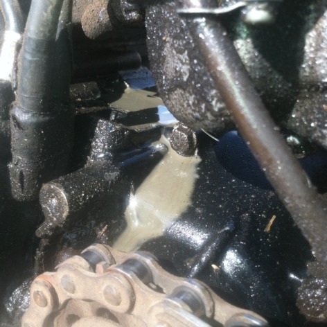 Honda 1986 cr125 leaking oil - 1