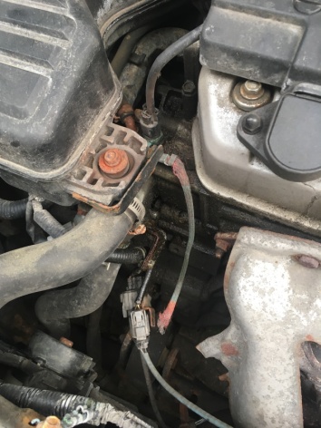 2001 Honda Civic What is this wire - 1